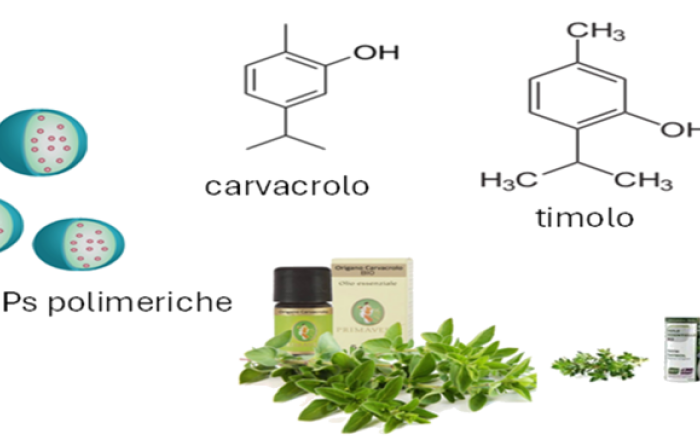 Conservazione dei Beni Culturali con nanomateriali